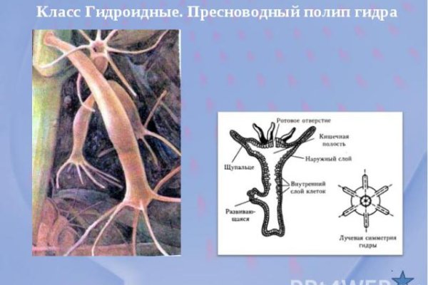 Кракен не работает тор