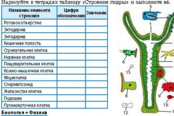 Кракен зеркало рабочее на сегодня krakenat2krnkrnk com